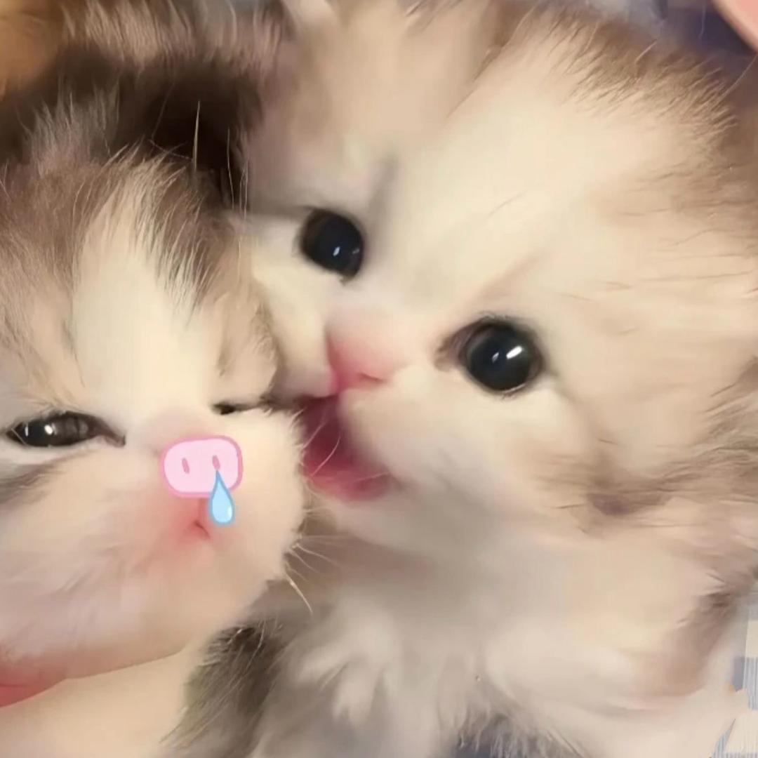 泪痣