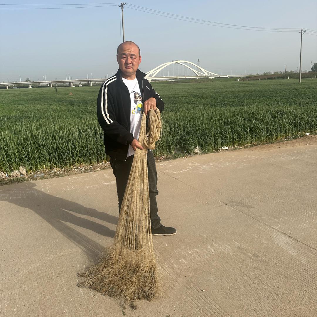 光头哥撒网教学
