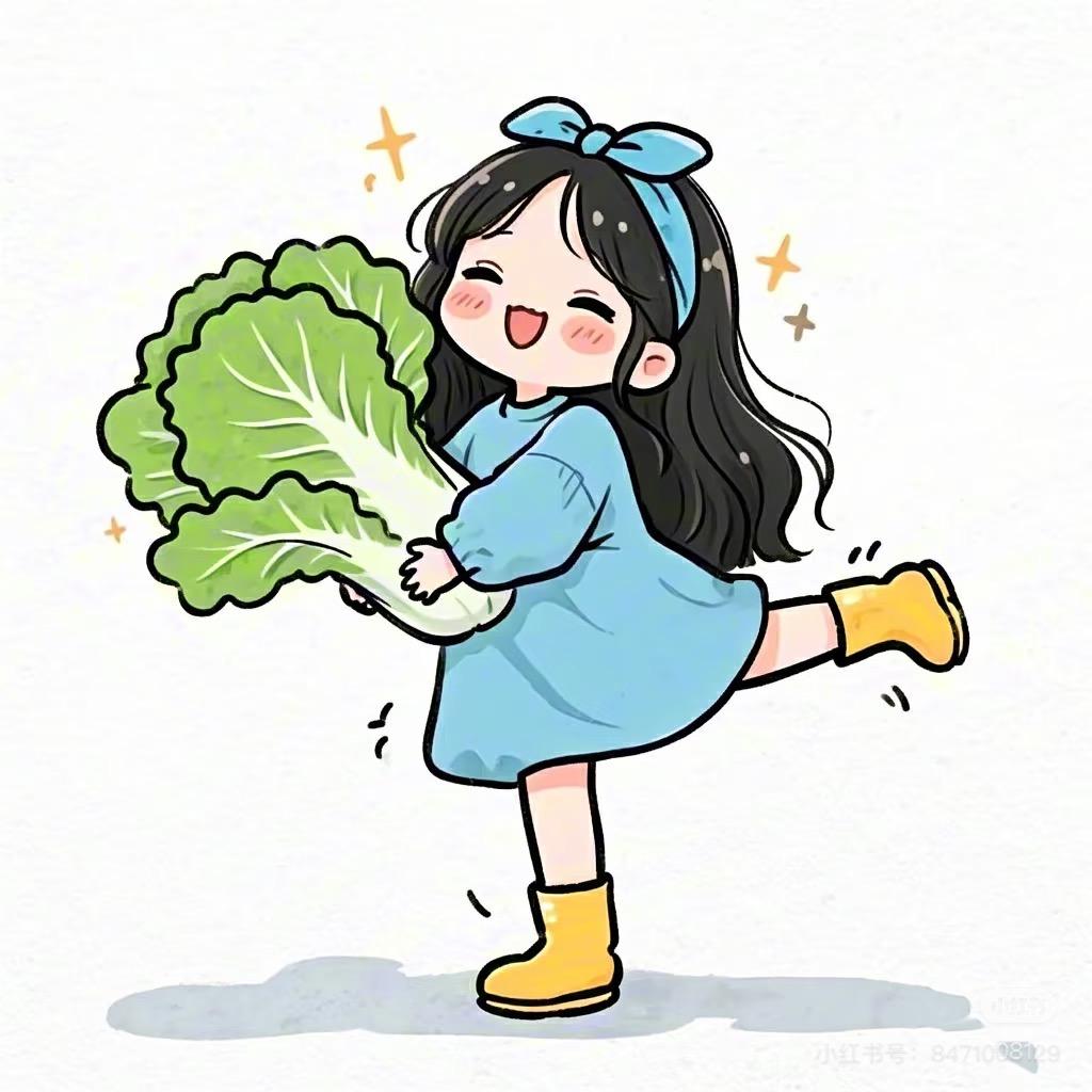 白菜的小店