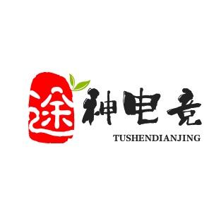 途神电竞