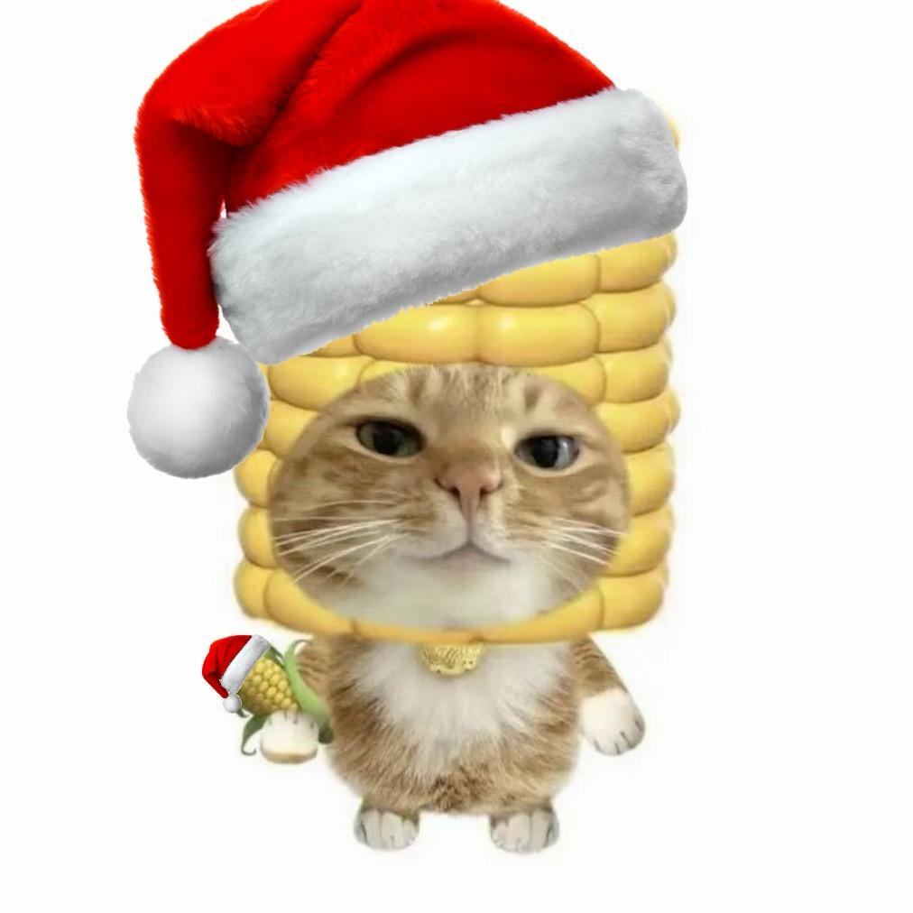 晴天绾（wǎn）🍢