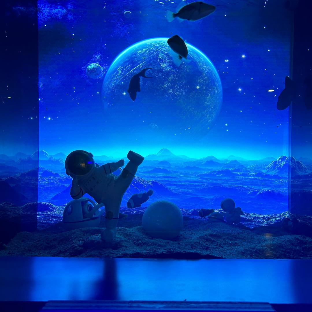 迪士尼在逃壮壮(๑• . •๑)