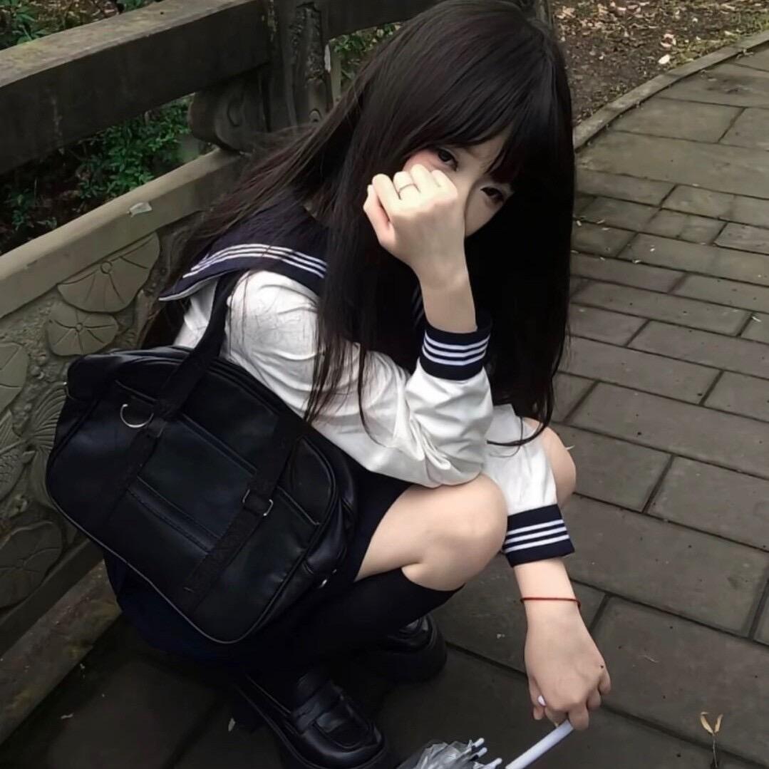 返程的猫