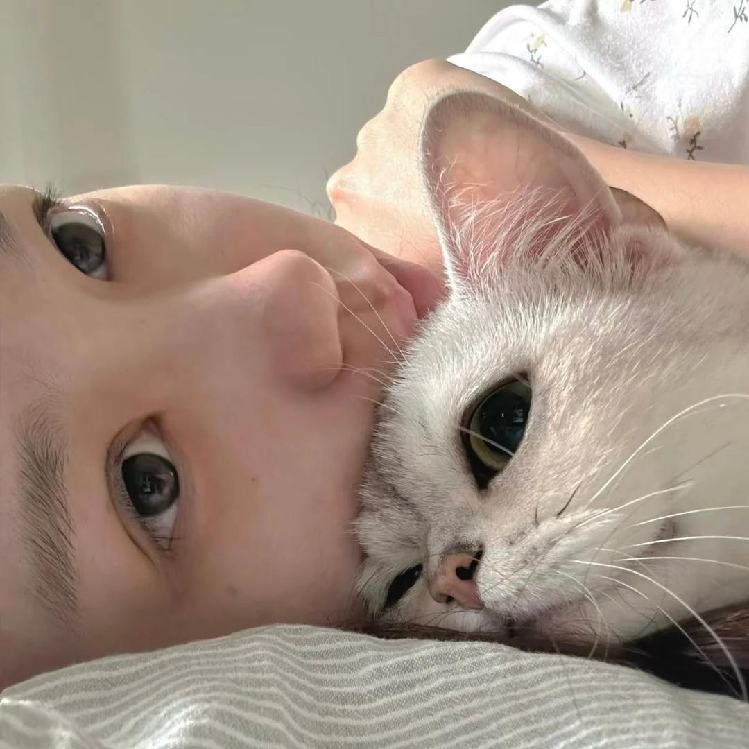 禾乌