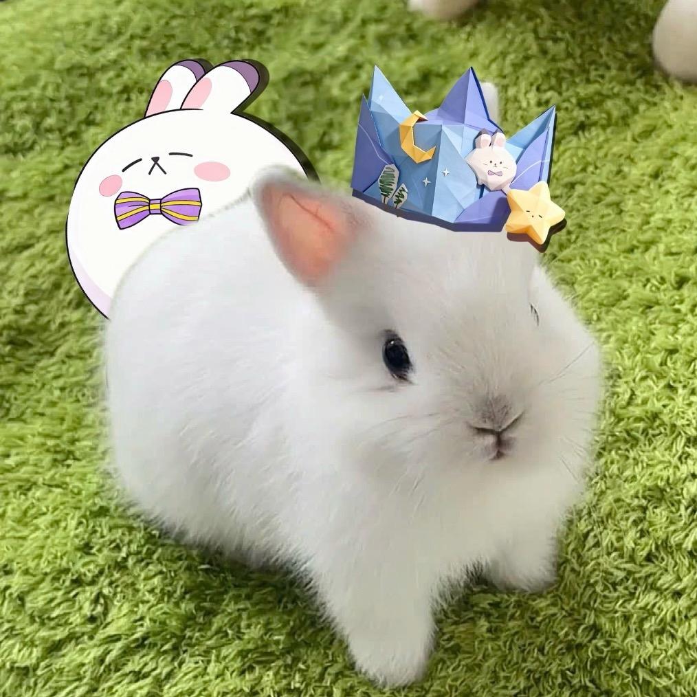 🌟小明亮亮🌟