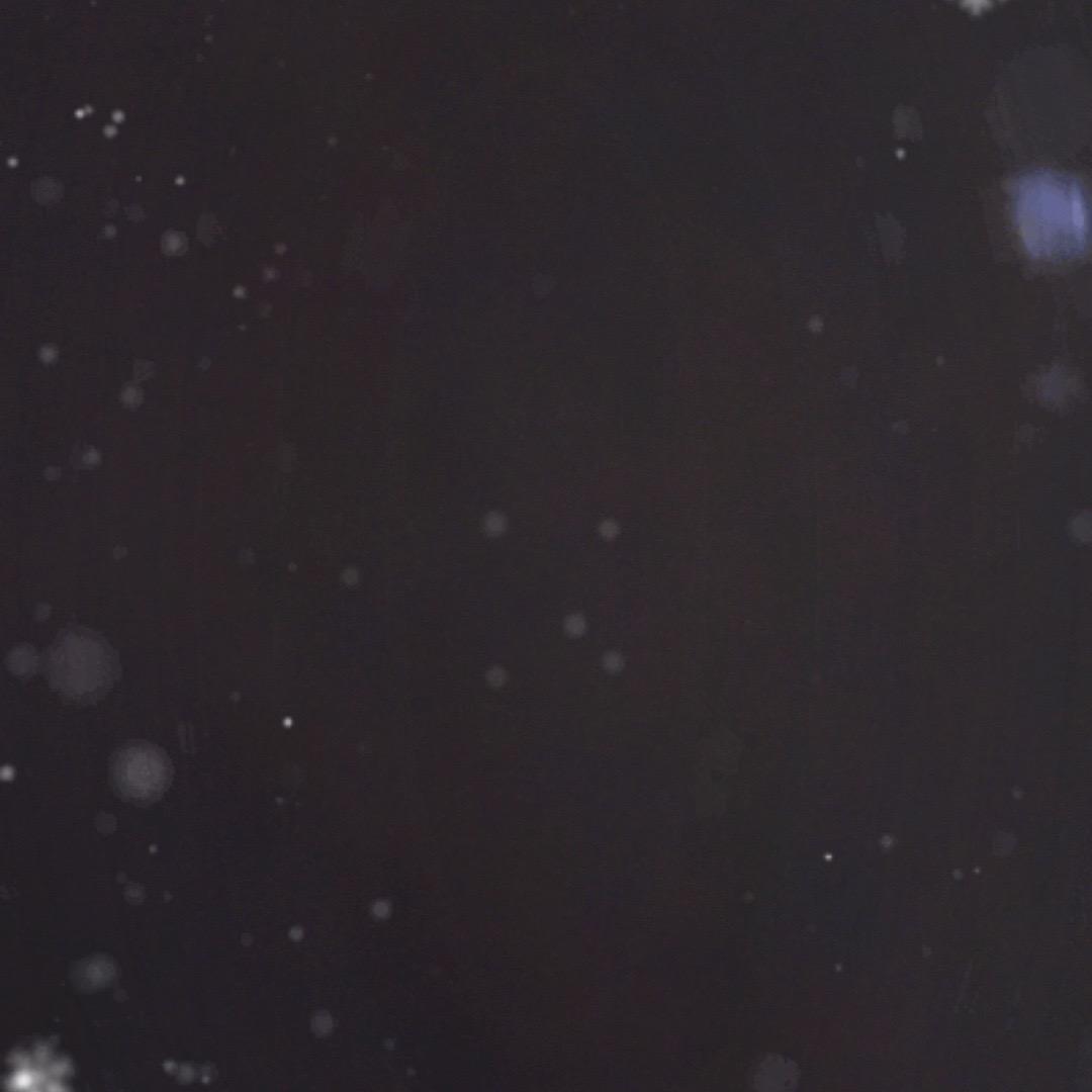六六六
