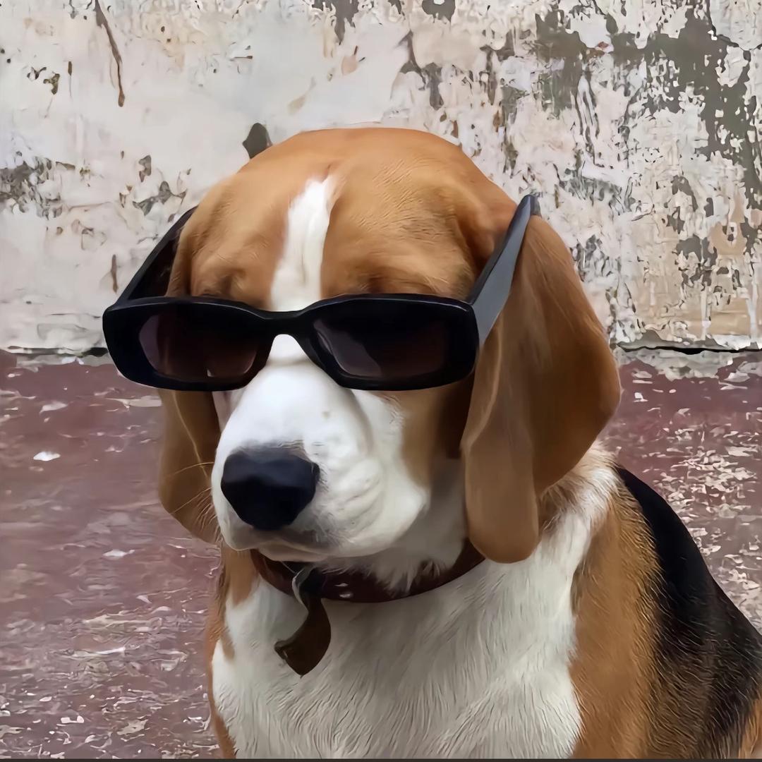 泪水打湿手机屏，夜翻聊天记录到天明