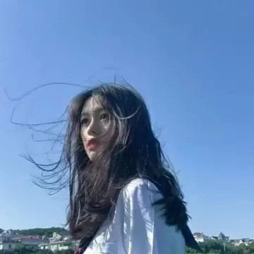 猴子请来的救兵