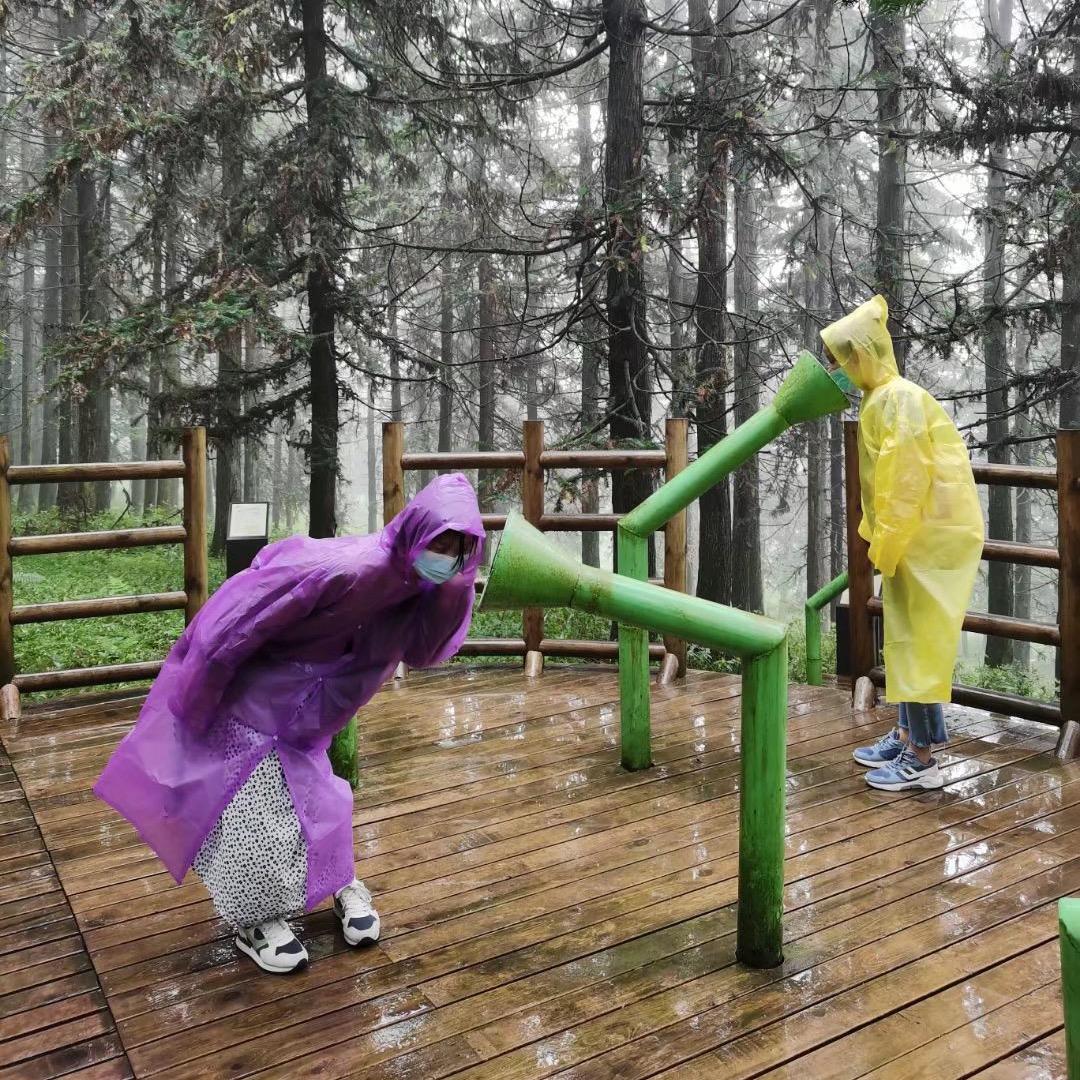 小二子呀呀呀