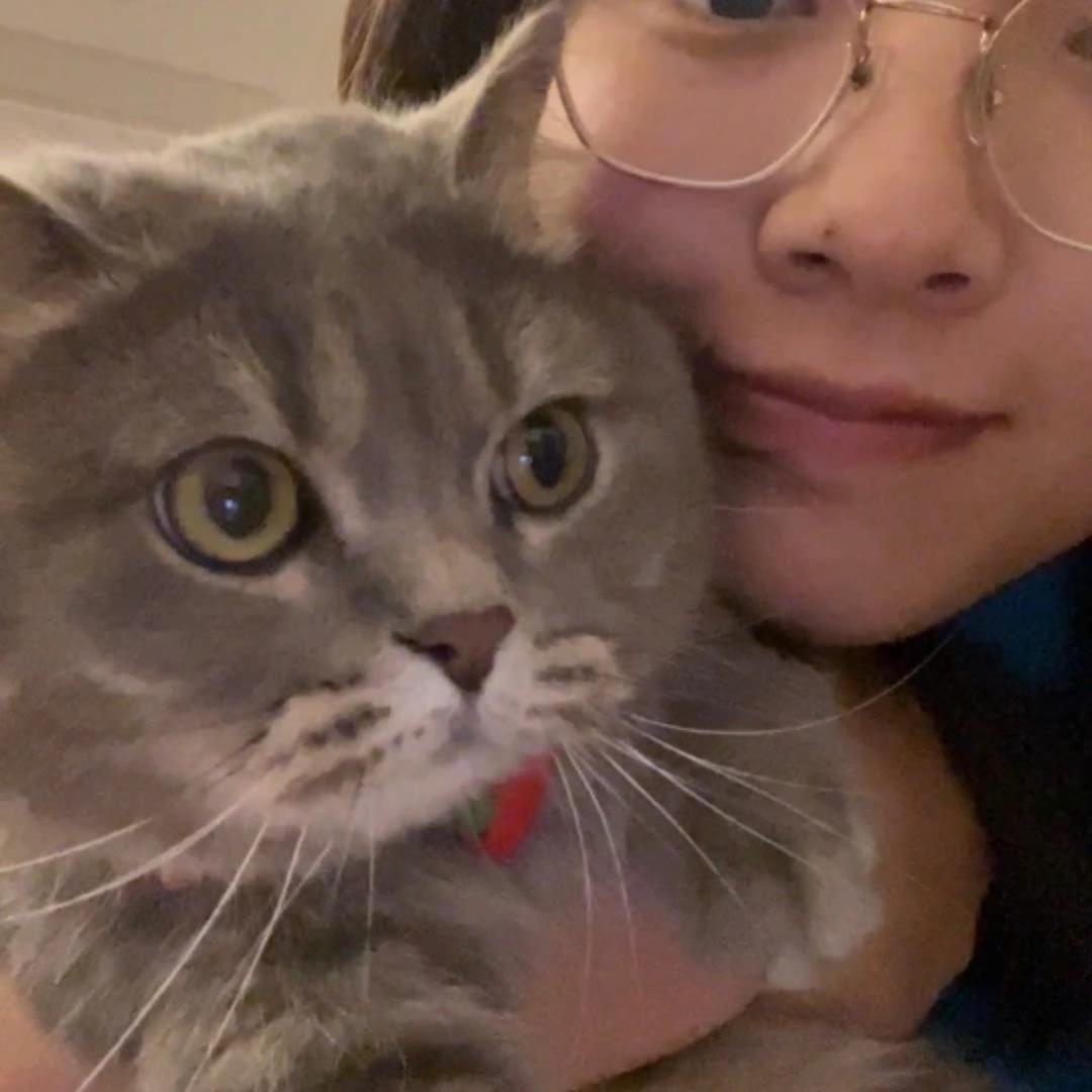 胖胖爱吃小火锅