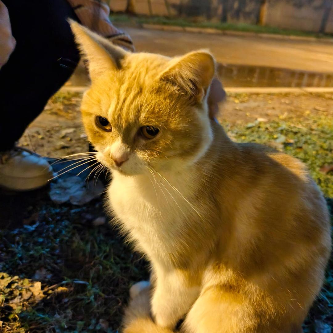 未来可期💕