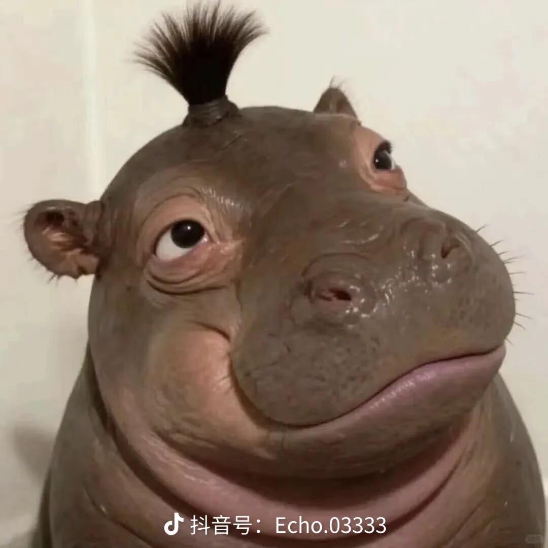誓书