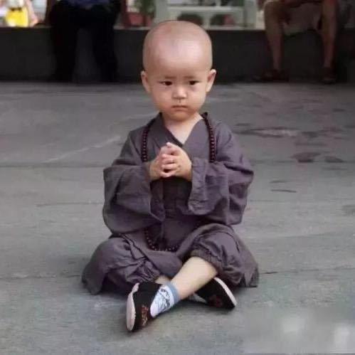 盖世英熊