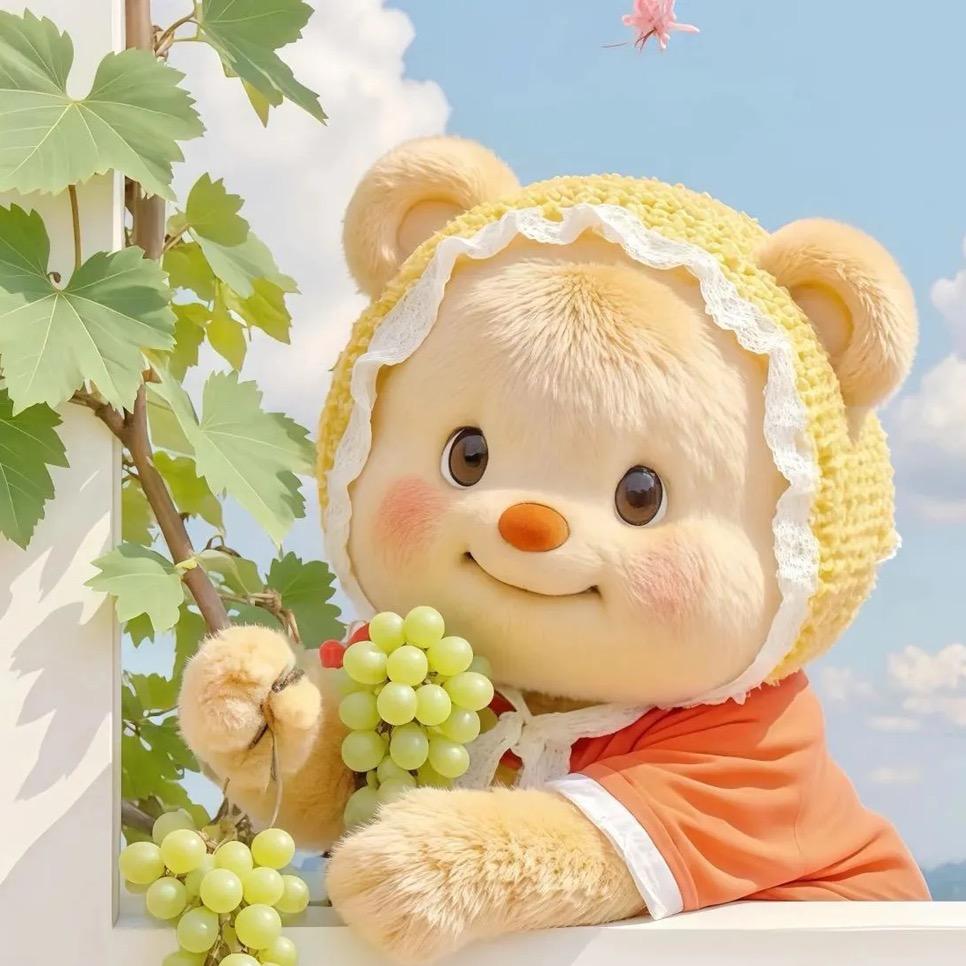 爱养花的小陈🌼