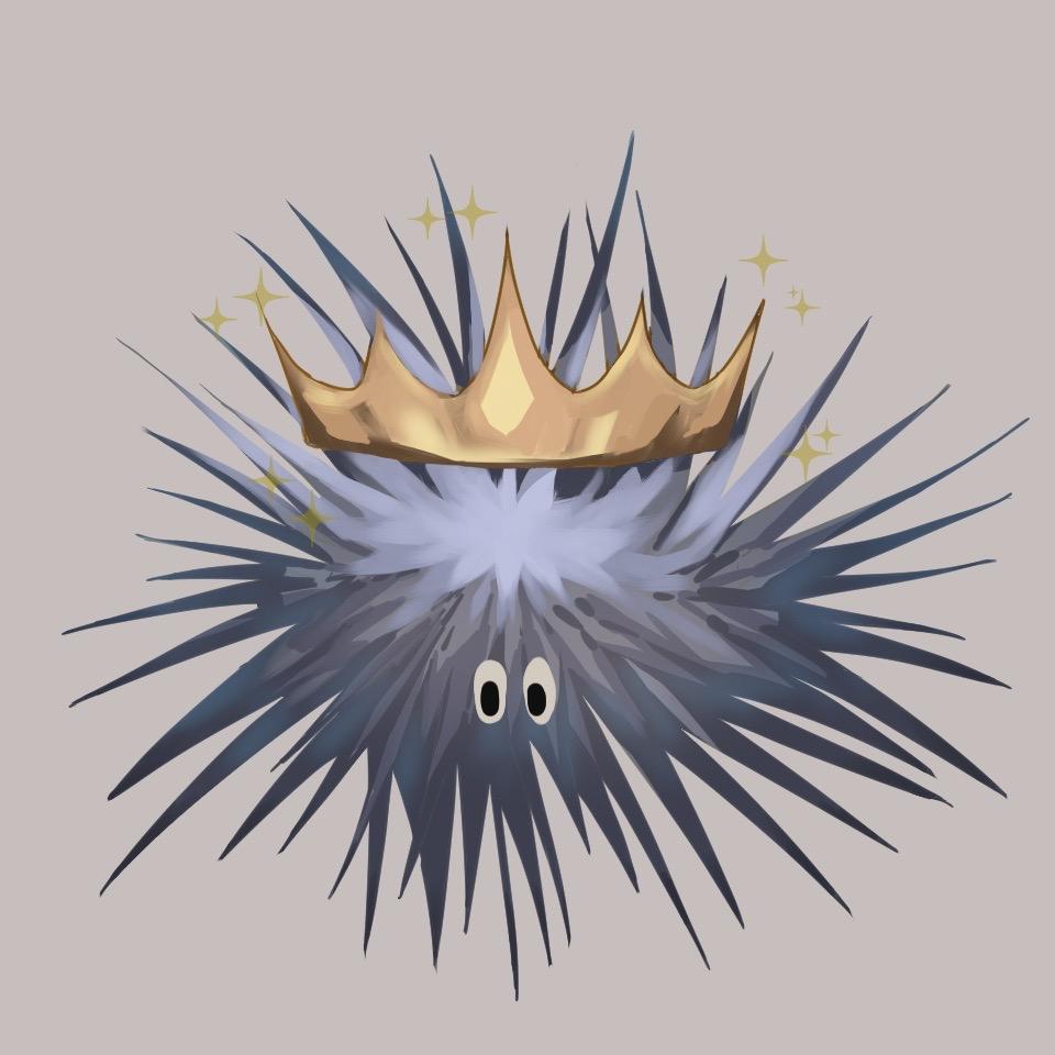 °.✰┈* 海膽飯⁷ᵘ ⭒。*┈✰.°