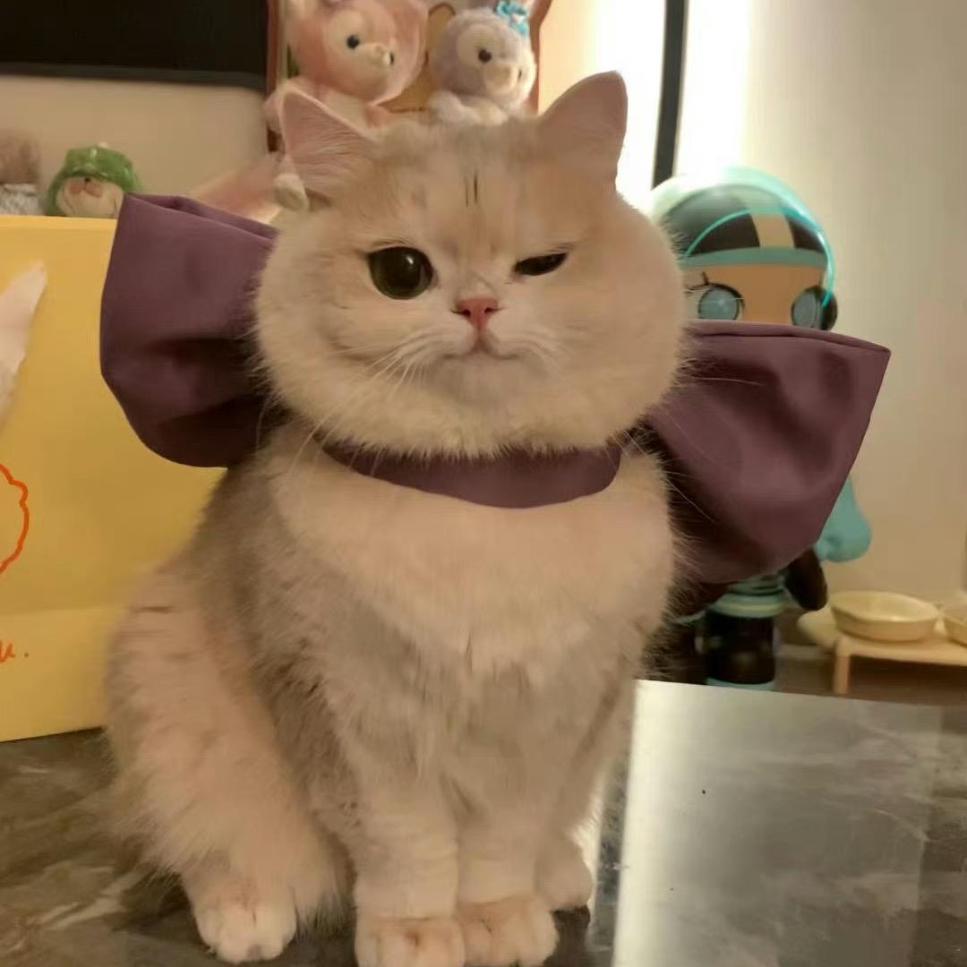 yunin'