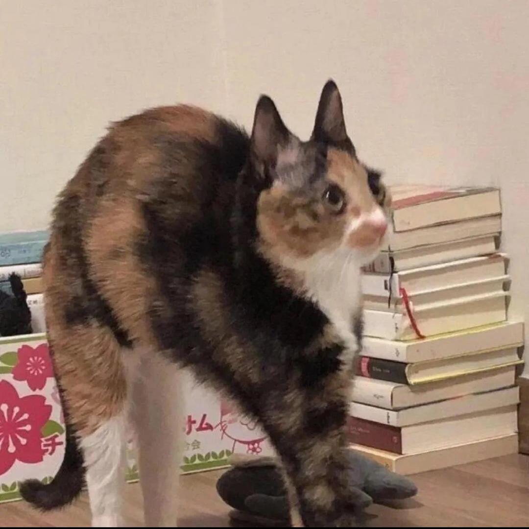 oi