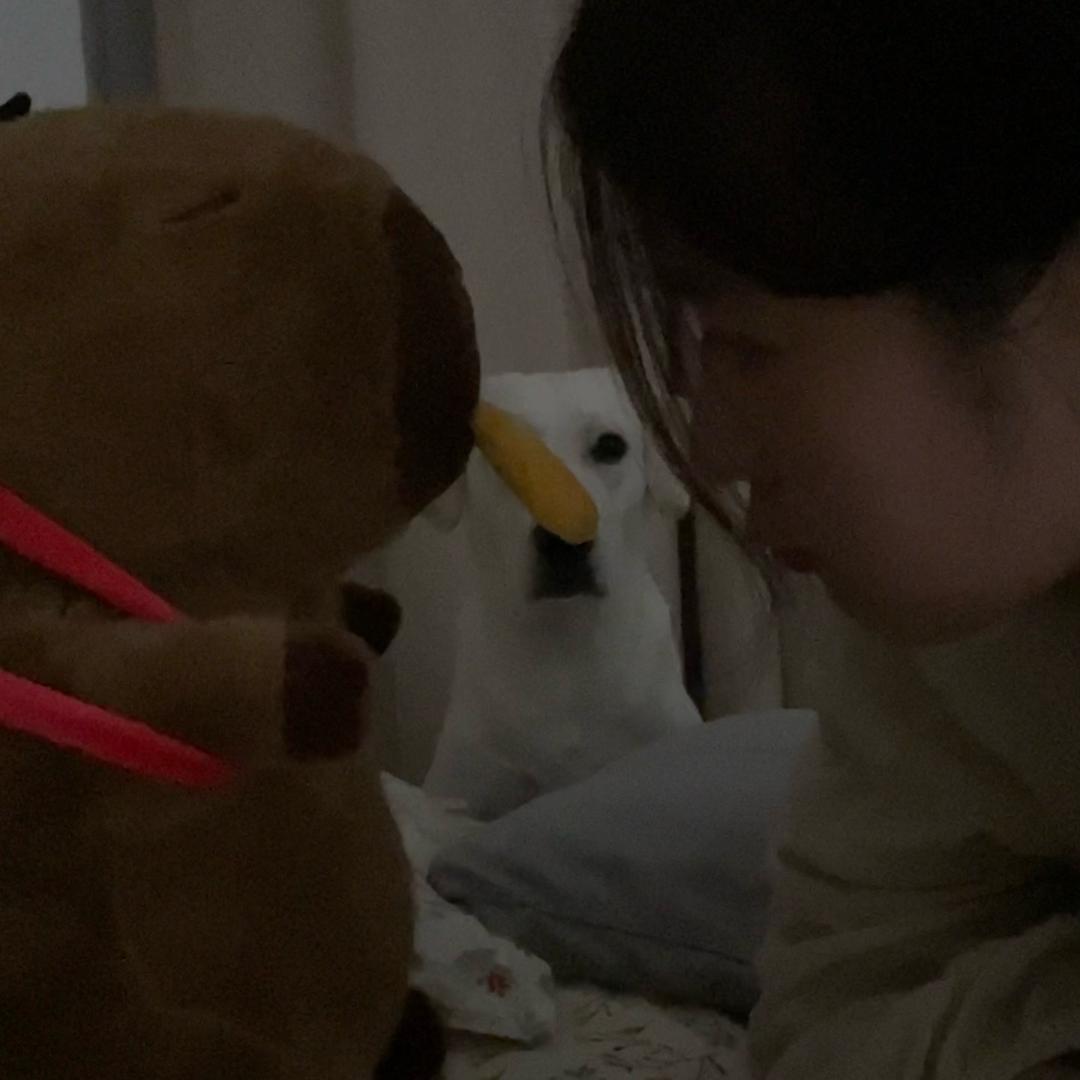 一个记录本