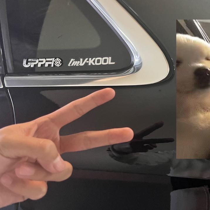 热爱打台球的小男孩