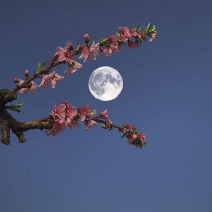 乐不思蜀的乐乐