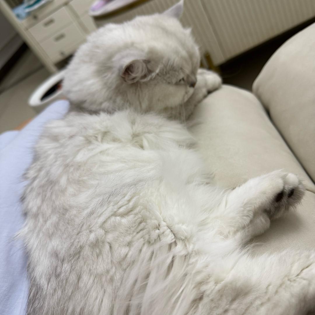 -  。-