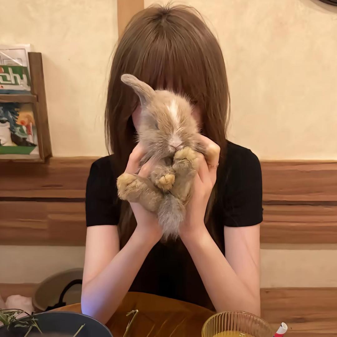 足够宅