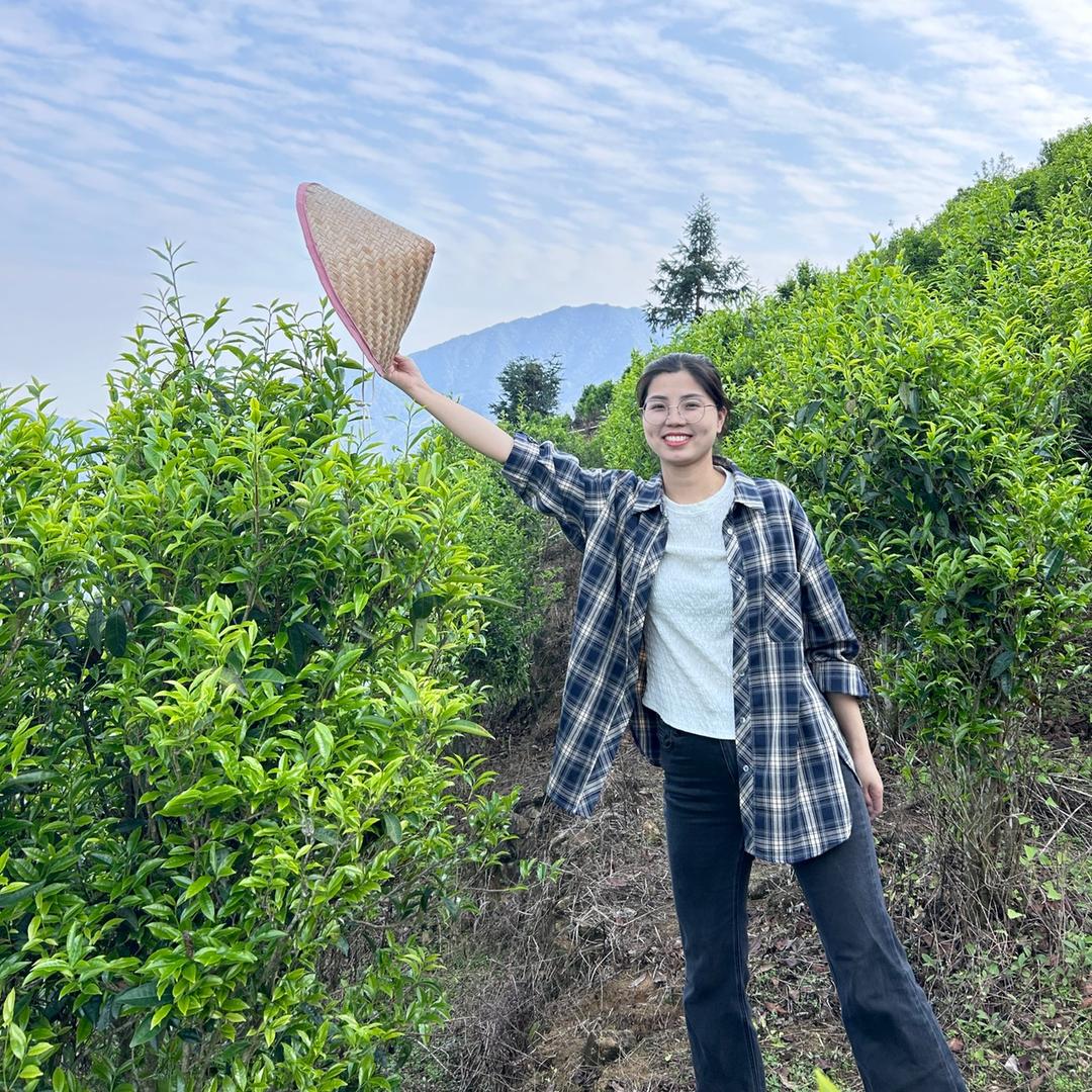 表姐单丛茶（17万粉丝福利支持试喝）