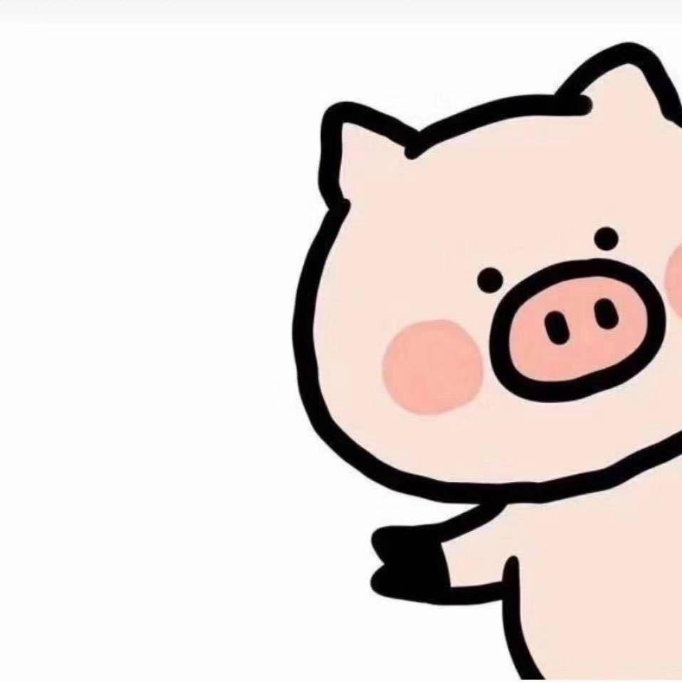 小猪猪