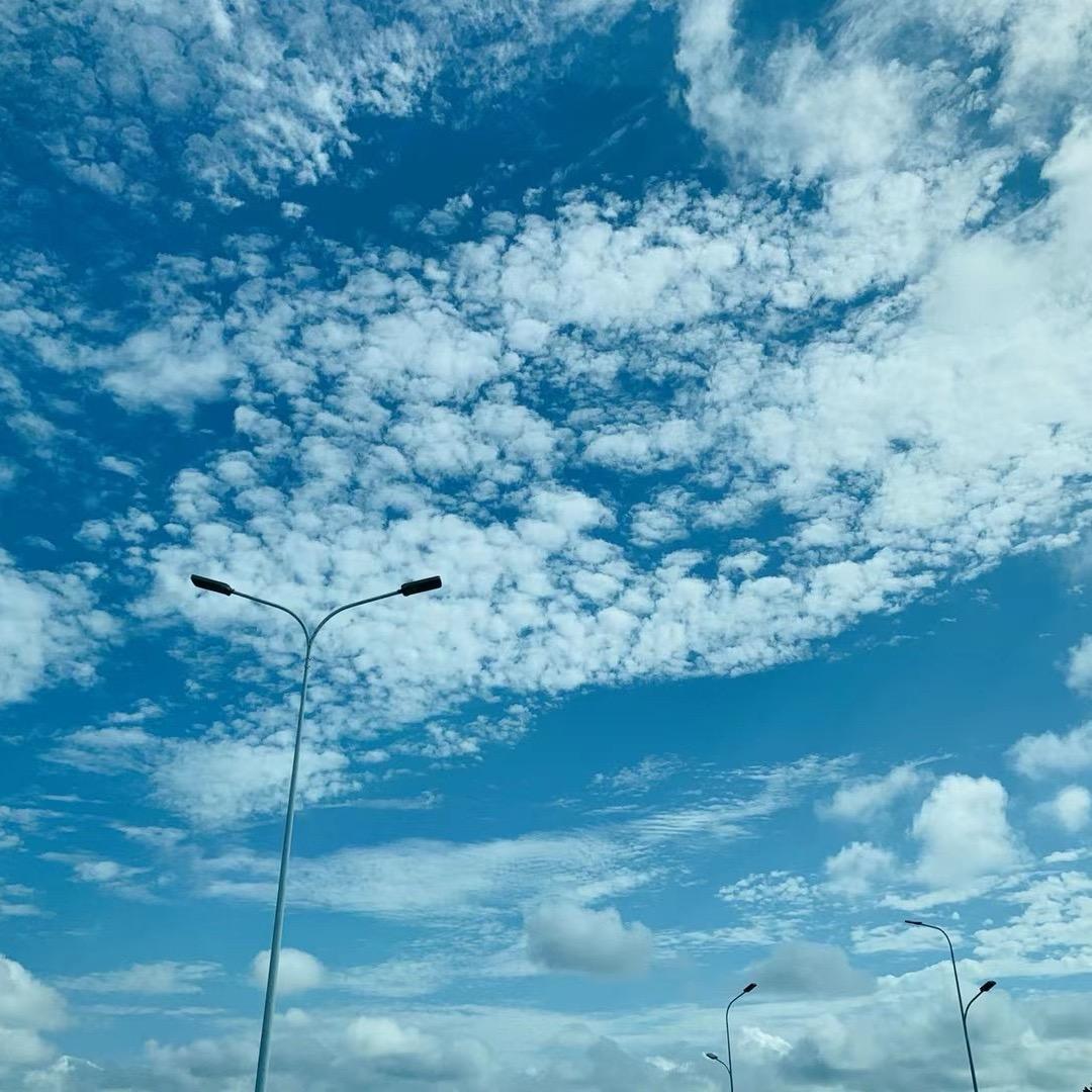 ✨提笔写忧伤 ✨ 🐬