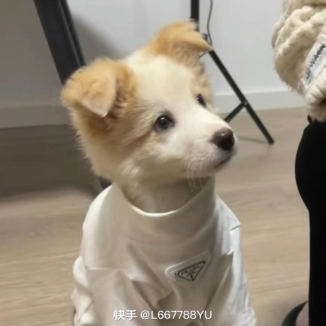 炽热、