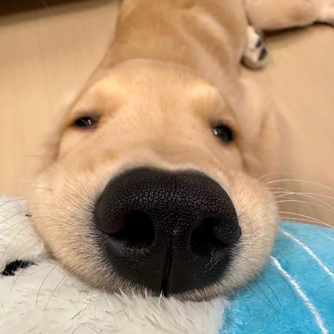 十伍