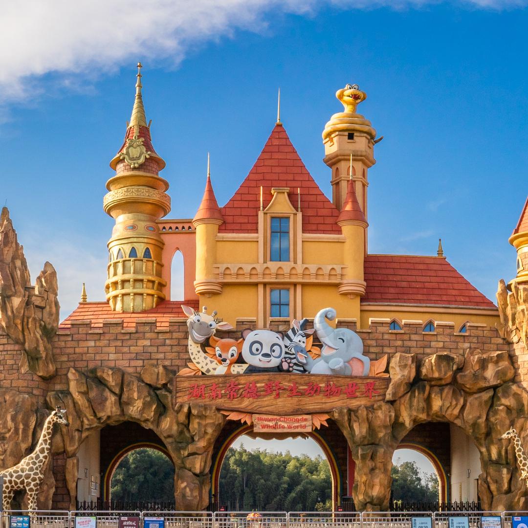 常野动物世界的小牛马