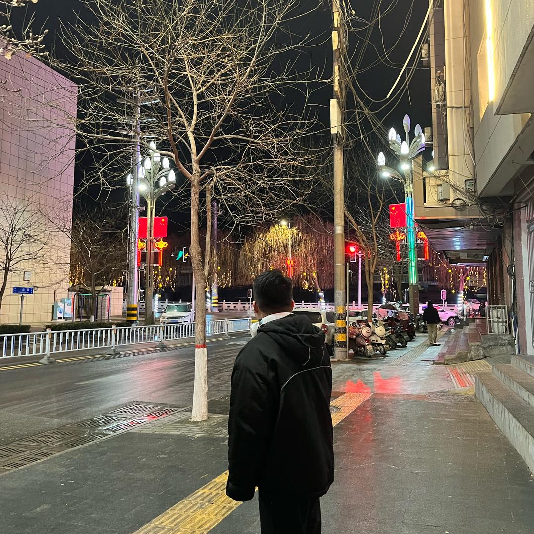 🌲先生