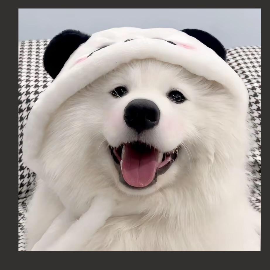 困困土豆泥. ૮₍˶•.•⑅₎