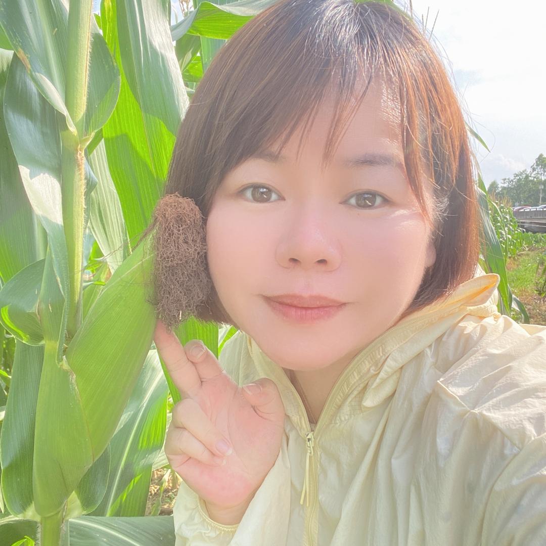 南宁小叶