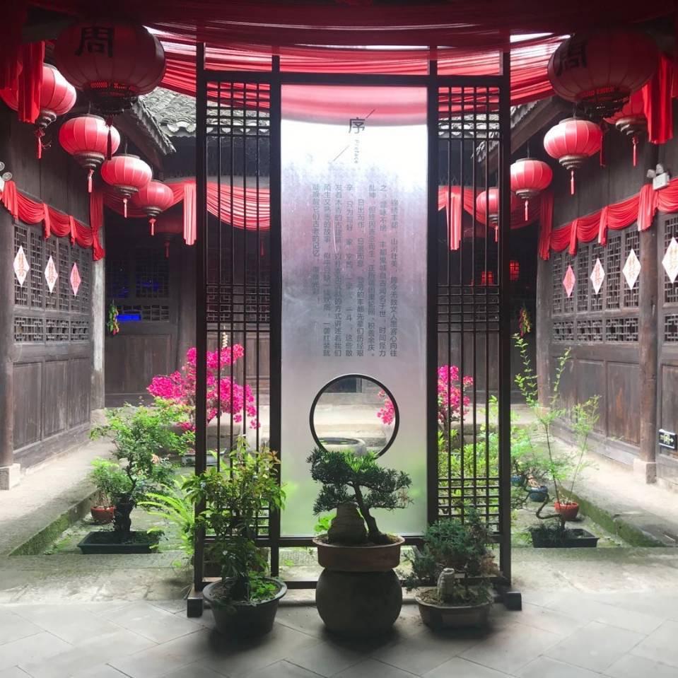 杠精的旅行全球