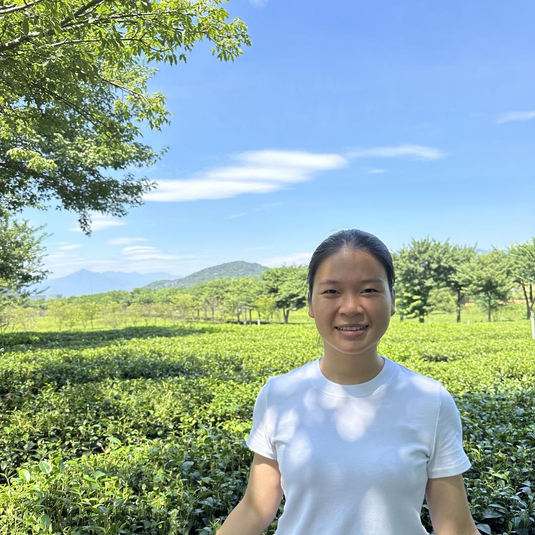 瑶妹茶园直销