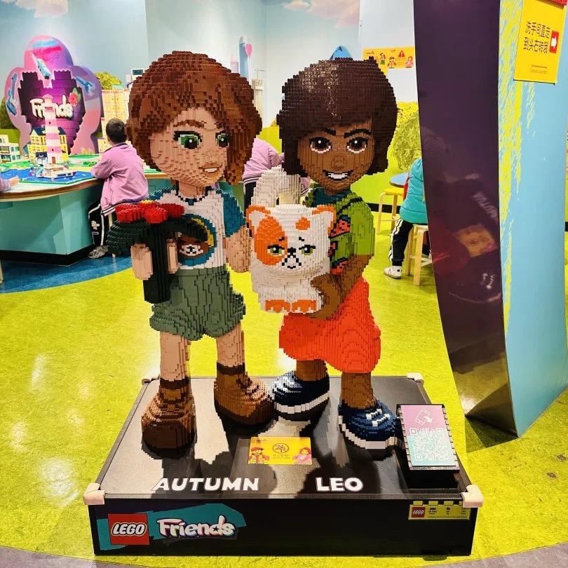 爱拼乐高的泰迪哥