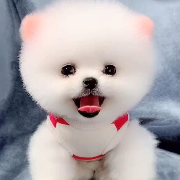 做自己找爱自已的人