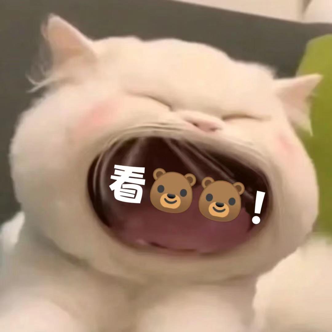 🌟🌟喵喵喵.🌟