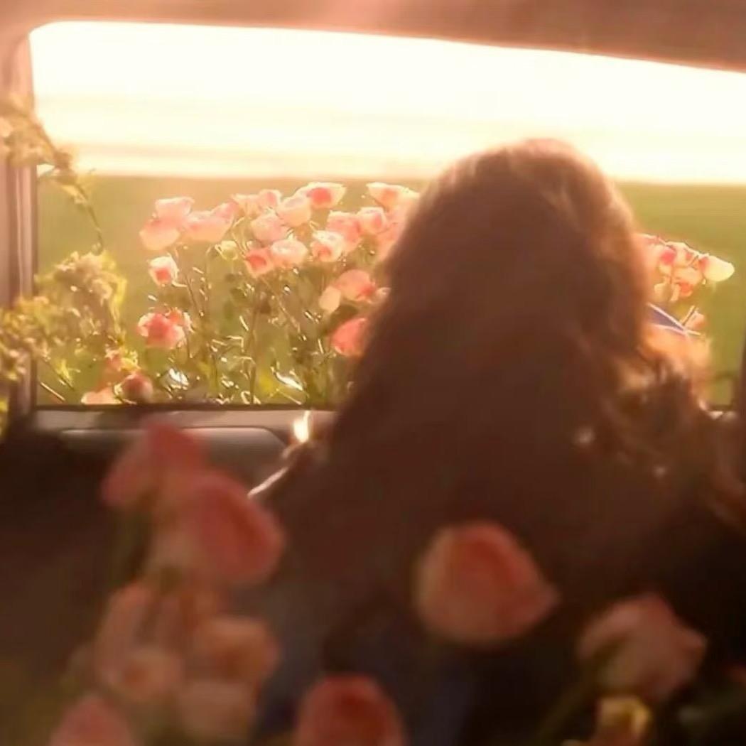 星星不打烊🫧.