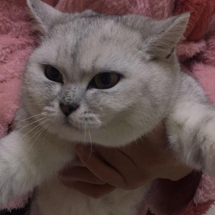 追梦人l