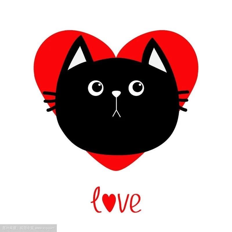 猫猫说剧