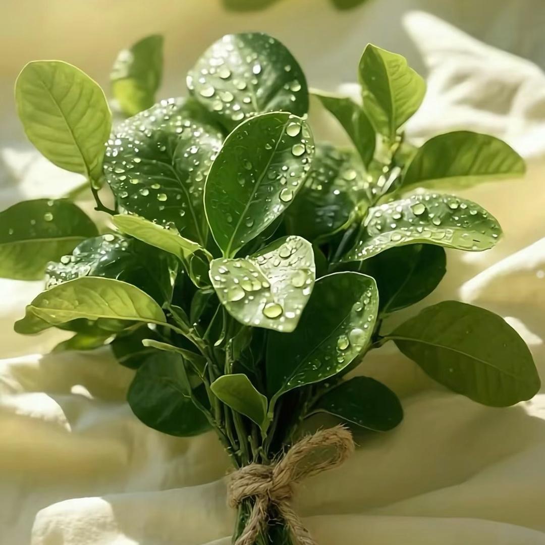 🌻@我是芳芳吖🌈