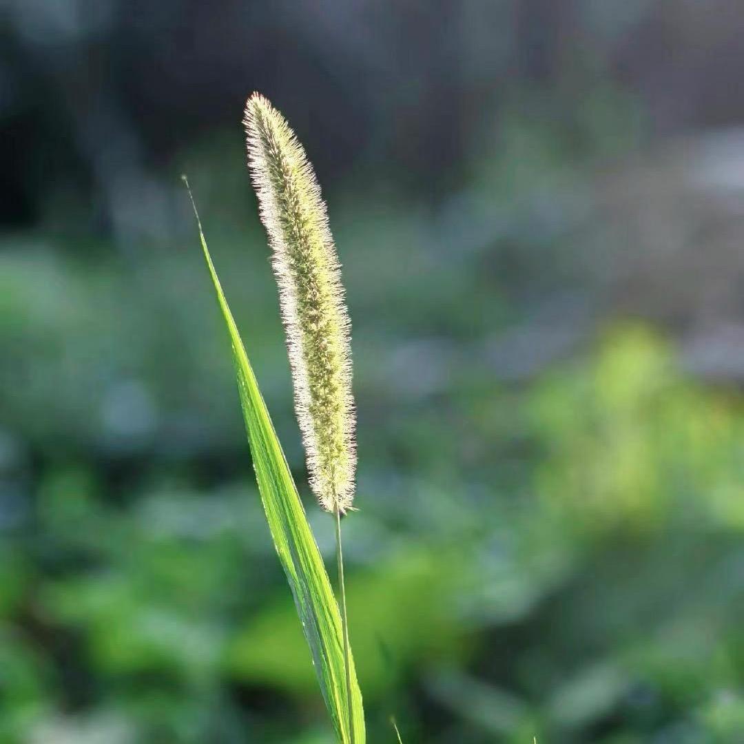 乄夵