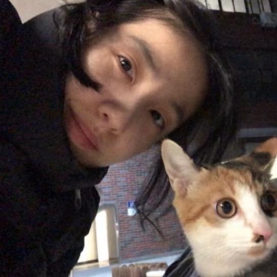 一只猫🐾