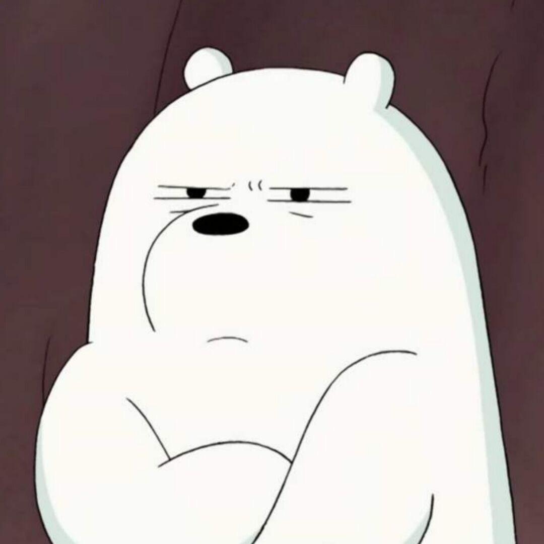 白熊爱推文