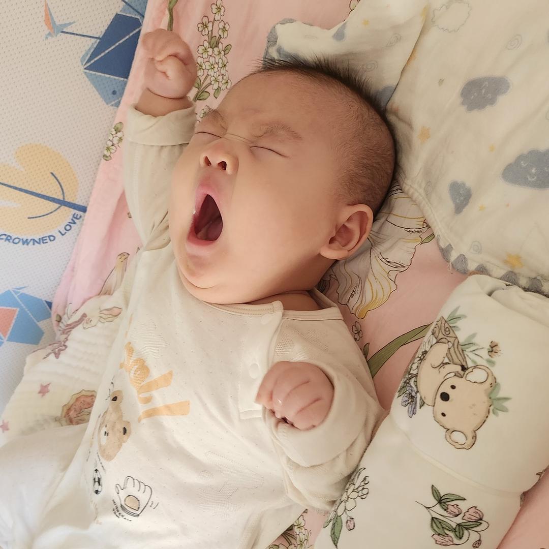 灿CAN能小子