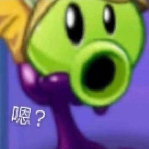 花开富贵.
