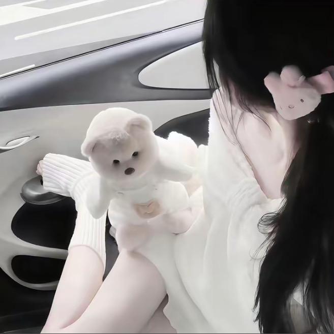 逗弟主